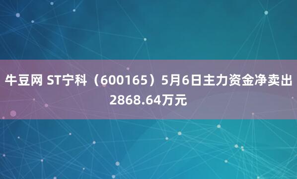 牛豆网 ST宁科（600165）5月6日主力资金净卖出2868.64万元